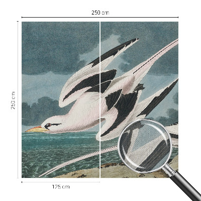 Samolepilna fototapeta za dnevno sobo Ptice ob morju