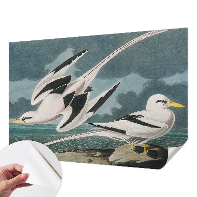 Samolepilna fototapeta za dnevno sobo Ptice ob morju