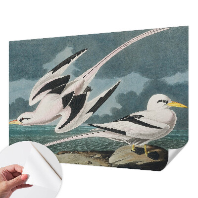 Samolepilna fototapeta za dnevno sobo Ptice ob morju