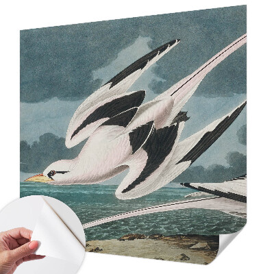 Samolepilna fototapeta za dnevno sobo Ptice ob morju