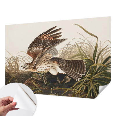 Samolepilna fototapeta Krilata lepotica