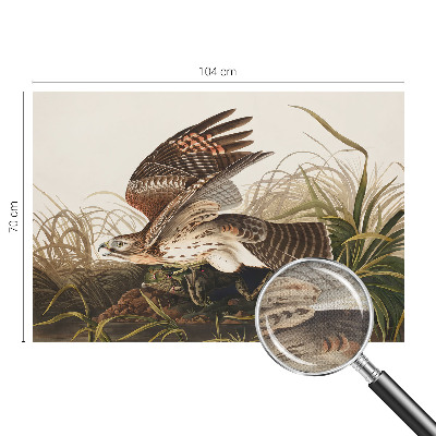 Samolepilna fototapeta z motivom krilate lepotice