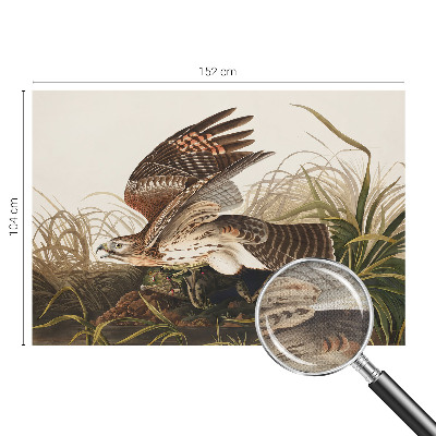 Samolepilna fototapeta z motivom krilate lepotice