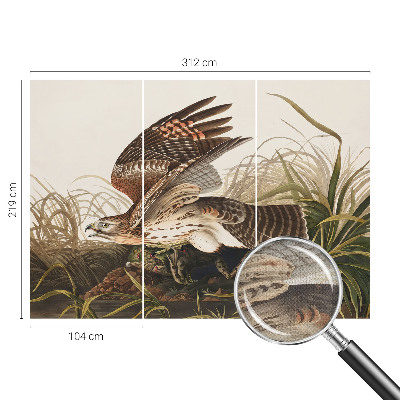 Samolepilna fototapeta Krilata lepotica