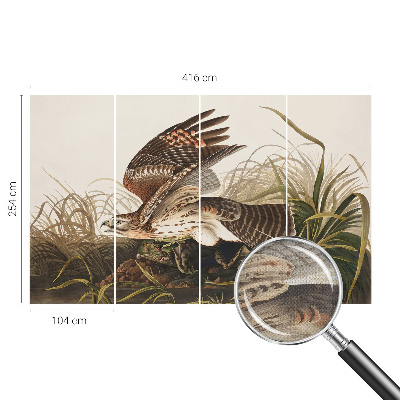 Samolepilna fototapeta Krilata lepotica