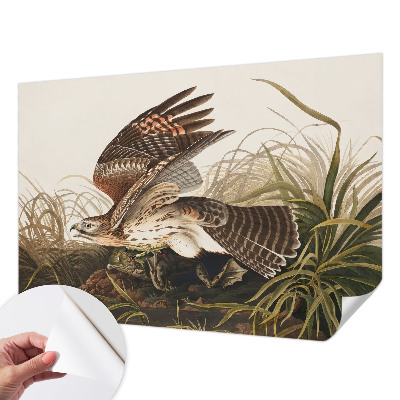 Samolepilna fototapeta Krilata lepotica