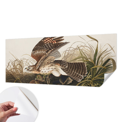 Samolepilna fototapeta z motivom krilate lepotice
