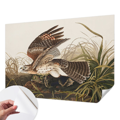 Samolepilna fototapeta Krilata lepotica