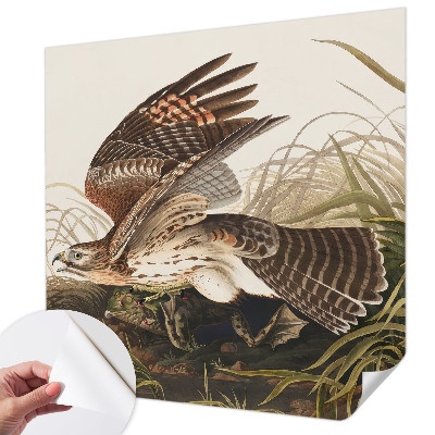 Samolepilna fototapeta z motivom krilate lepotice