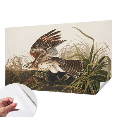 Samolepilna fototapeta Krilata lepotica