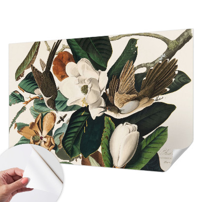 Samolepilna fototapeta za dnevno sobo z motivom magnolijskih ptic