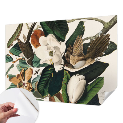 Samolepilna fototapeta za dnevno sobo z motivom magnolijskih ptic