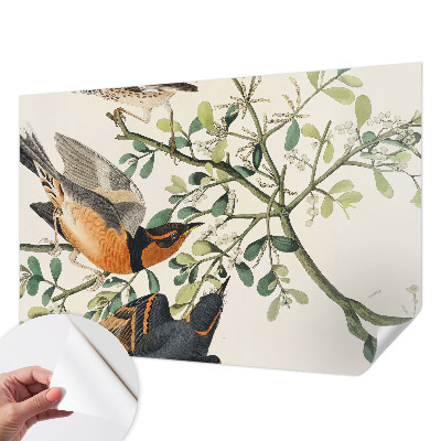3D fototapeta z motivom barvitih ptic