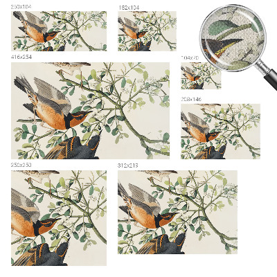 3D fototapeta Barvite ptice