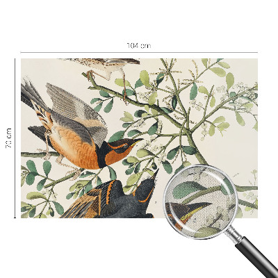 3D fototapeta z motivom barvitih ptic