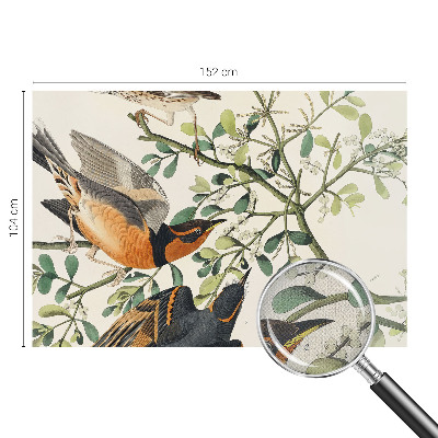 3D fototapeta z motivom barvitih ptic