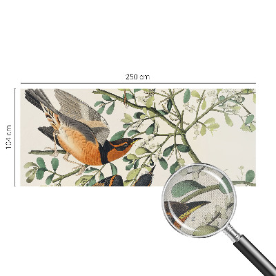 3D fototapeta z motivom barvitih ptic