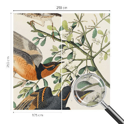 3D fototapeta z motivom barvitih ptic