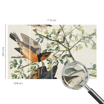 3D fototapeta Barvite ptice