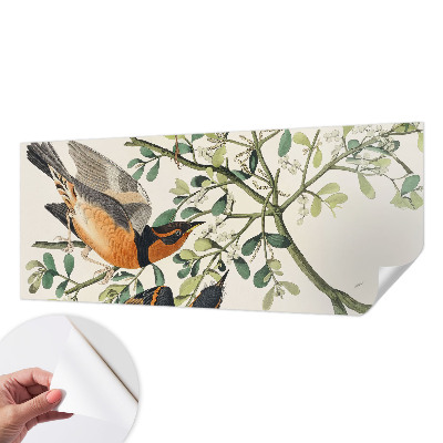 3D fototapeta z motivom barvitih ptic