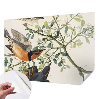 3D fototapeta z motivom barvitih ptic