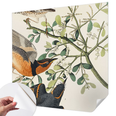 3D fototapeta z motivom barvitih ptic