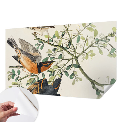 3D fototapeta z motivom barvitih ptic