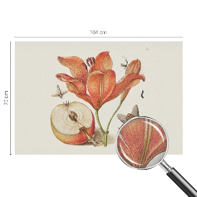 Fototapeta za otroško sobo z botanično ilustracijo