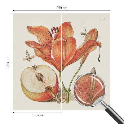 Fototapeta za otroško sobo z botanično ilustracijo