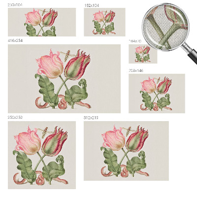 Samolepilna fototapeta za spalnico Tulipanova lepotica