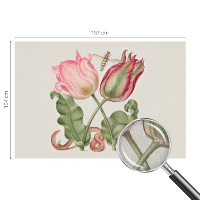 Samolepilna fototapeta za spalnico z motivom tulipana