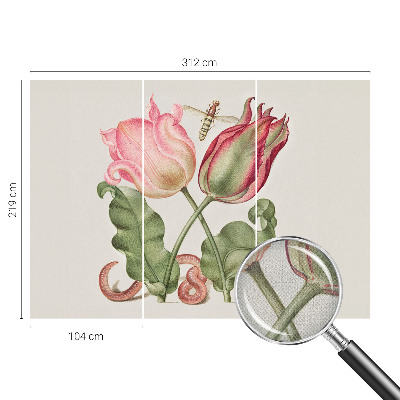 Samolepilna fototapeta za spalnico Tulipanova lepotica