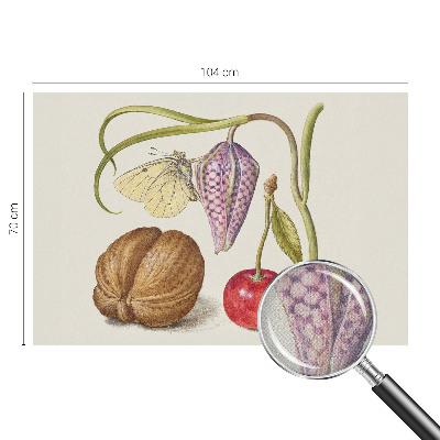 Otroška fototapeta Rastlina metuljev