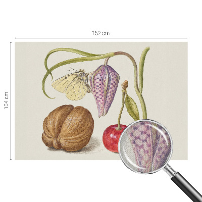 Otroška fototapeta Rastlina metuljev