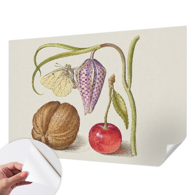 Otroška fototapeta Rastlina metuljev