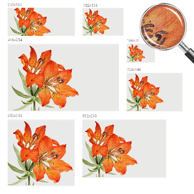 Samolepilna fototapeta z motivom oranžne lilije