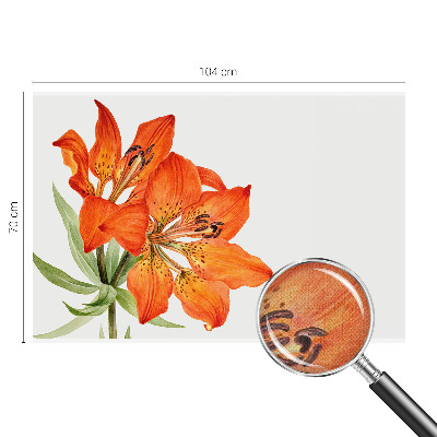 Samolepilna fototapeta z motivom oranžne lilije