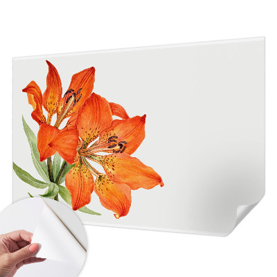 Samolepilna fototapeta z motivom oranžne lilije