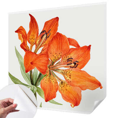 Samolepilna fototapeta z motivom oranžne lilije