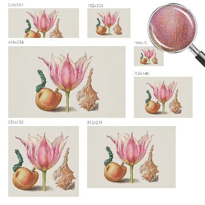 Samolepilna fototapeta za dnevno sobo Naravna simbioza