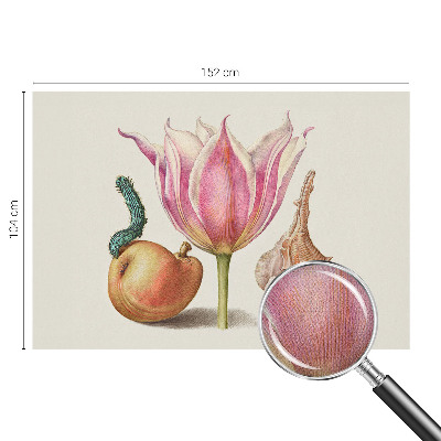 Samolepilna fototapeta za dnevno sobo Naravna simbioza