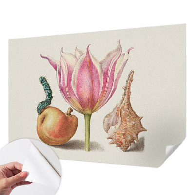 Samolepilna fototapeta za dnevno sobo Naravna simbioza