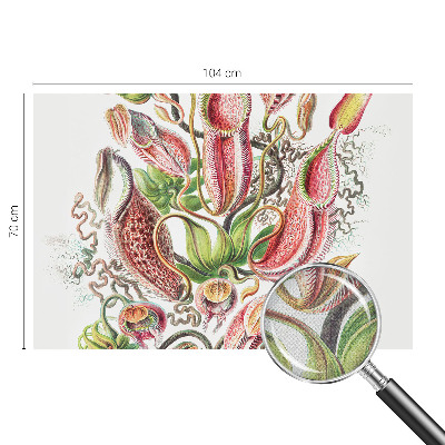 3D fototapeta Podrobnosti o rastlini