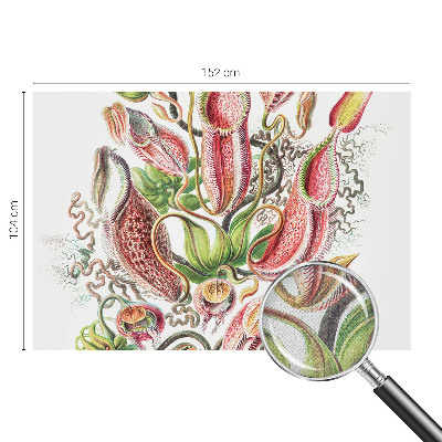 3D fototapeta Podrobnosti o rastlini