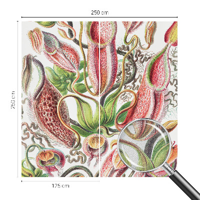 3D fototapeta Podrobnosti o rastlini