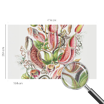 3D fototapeta Podrobnosti o rastlini