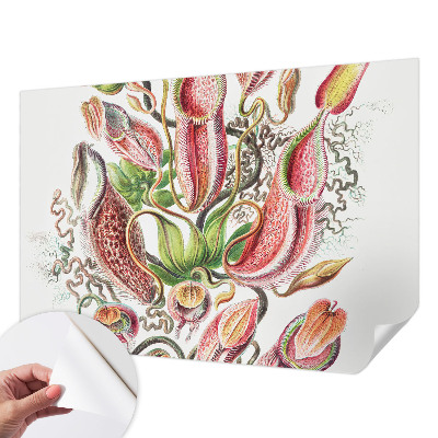 3D fototapeta Podrobnosti o rastlini