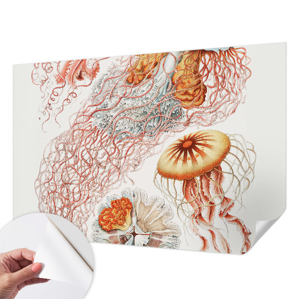 Otroška fototapeta z domiselnim motivom meduz