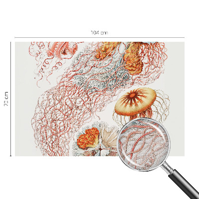 Otroška fototapeta Domiselne meduze