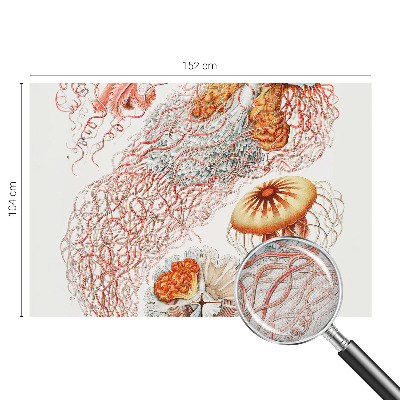 Otroška fototapeta Domiselne meduze